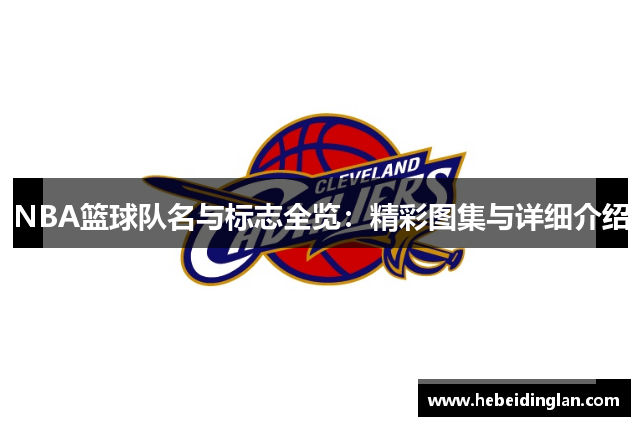 NBA篮球队名与标志全览：精彩图集与详细介绍