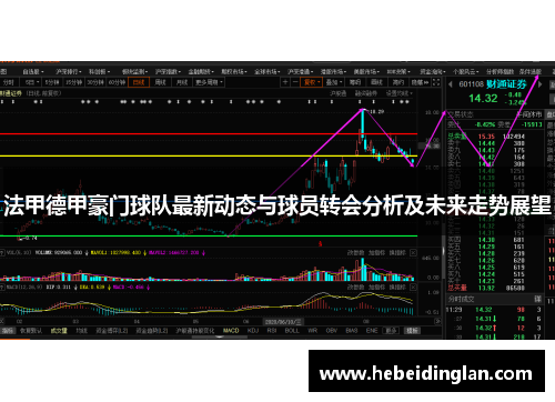 法甲德甲豪门球队最新动态与球员转会分析及未来走势展望